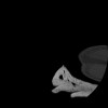 SPORK, NICO - 22.03.1976 - 02.08.2022 - CT obere Extremität - 17:51:17